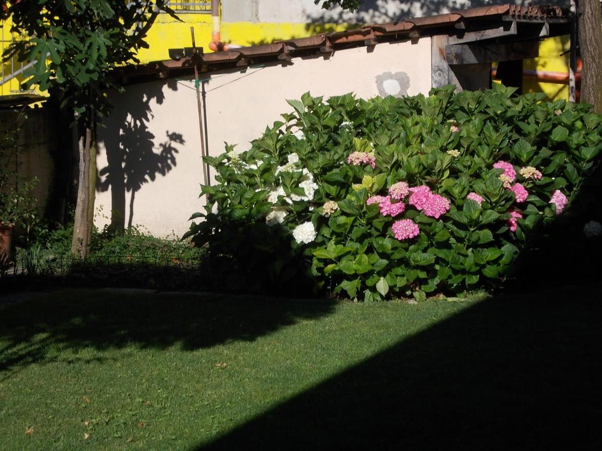 Les Hirondelles Bed & Breakfast Fenis Dış mekan fotoğraf