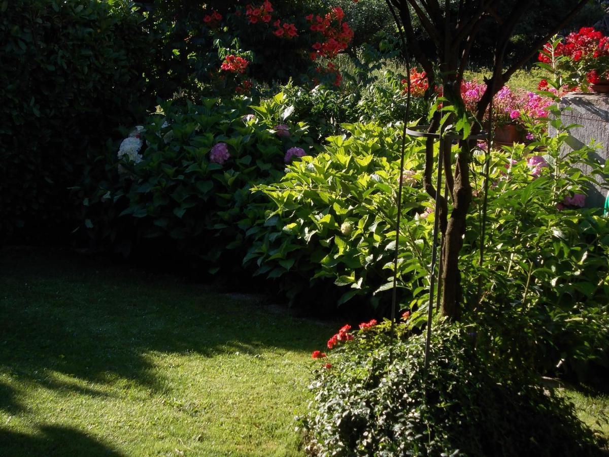 Les Hirondelles Bed & Breakfast Fenis Dış mekan fotoğraf